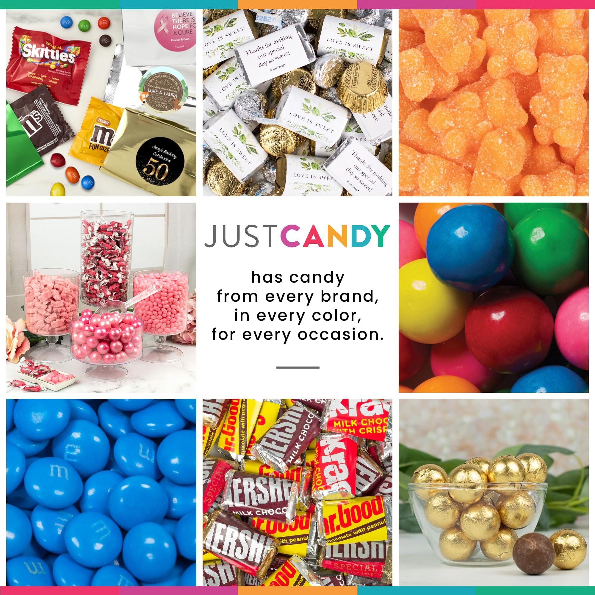 Just Candy 123 Pcs Blue Graduation Candy Party Favors Miniatures Chocolate (Approx. 123 Pcs) - No Assembly Required