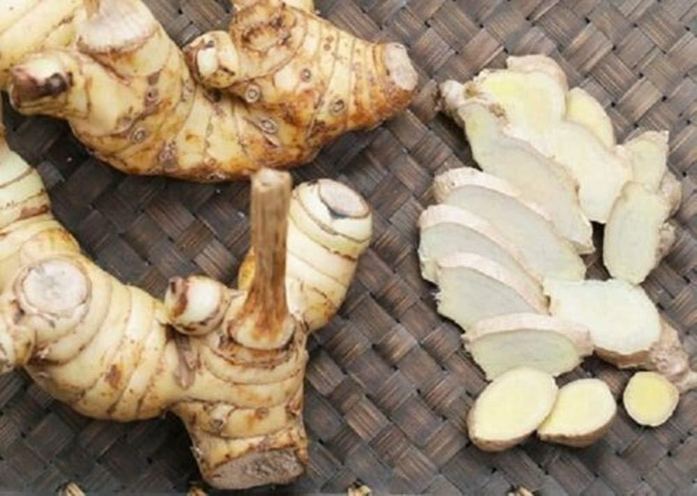 aro 2x 200g Dried Slice Greater Galongal Alpinia Galanga Root Thai Cooking Cuisine Food
