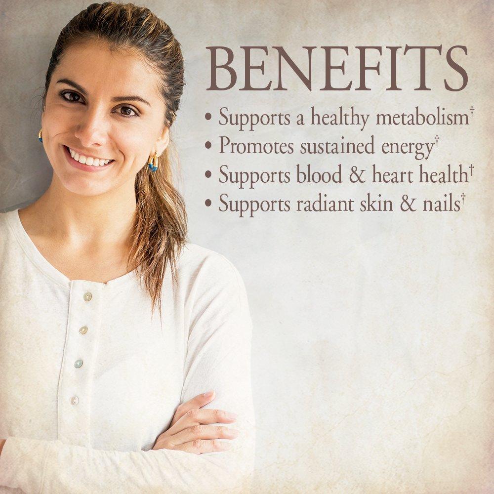 Garden of Life Garden of Life Organics Organic Multivitamin for Women - Womens Multi with Vitamin C, D, Folate, B6, B12, Biotin, Iron, Vegan Whole Food Vitamins for Women, Energy, Skin, Nails, 60 Tablets