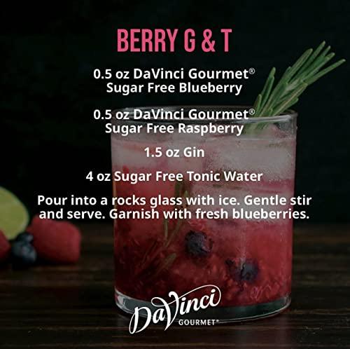 DaVinci Gourmet DaVinci Gourmet Sugar-Free Blueberry Syrup, 25.4 Fl Ounce (Pack of 4)