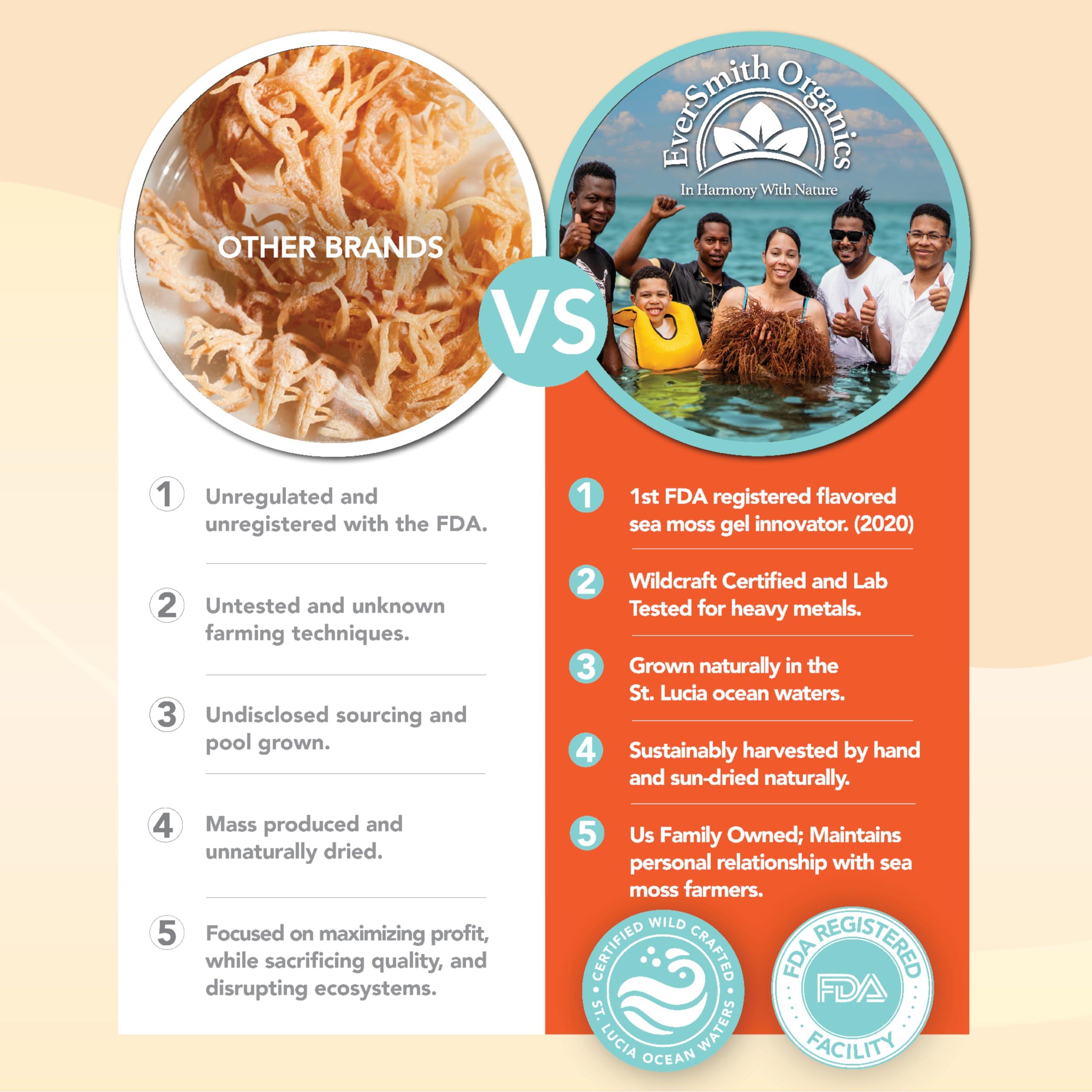 EverSmith Organics EverSmith Organics Irish Sea Moss | Makes 160oz of Gel | Gold Sea Moss | Sea Moss from St. Lucia | Seamoss Raw Superfood | Dried Sea Moss | Wildcrafted Sea Moss (2 OZ Bag)