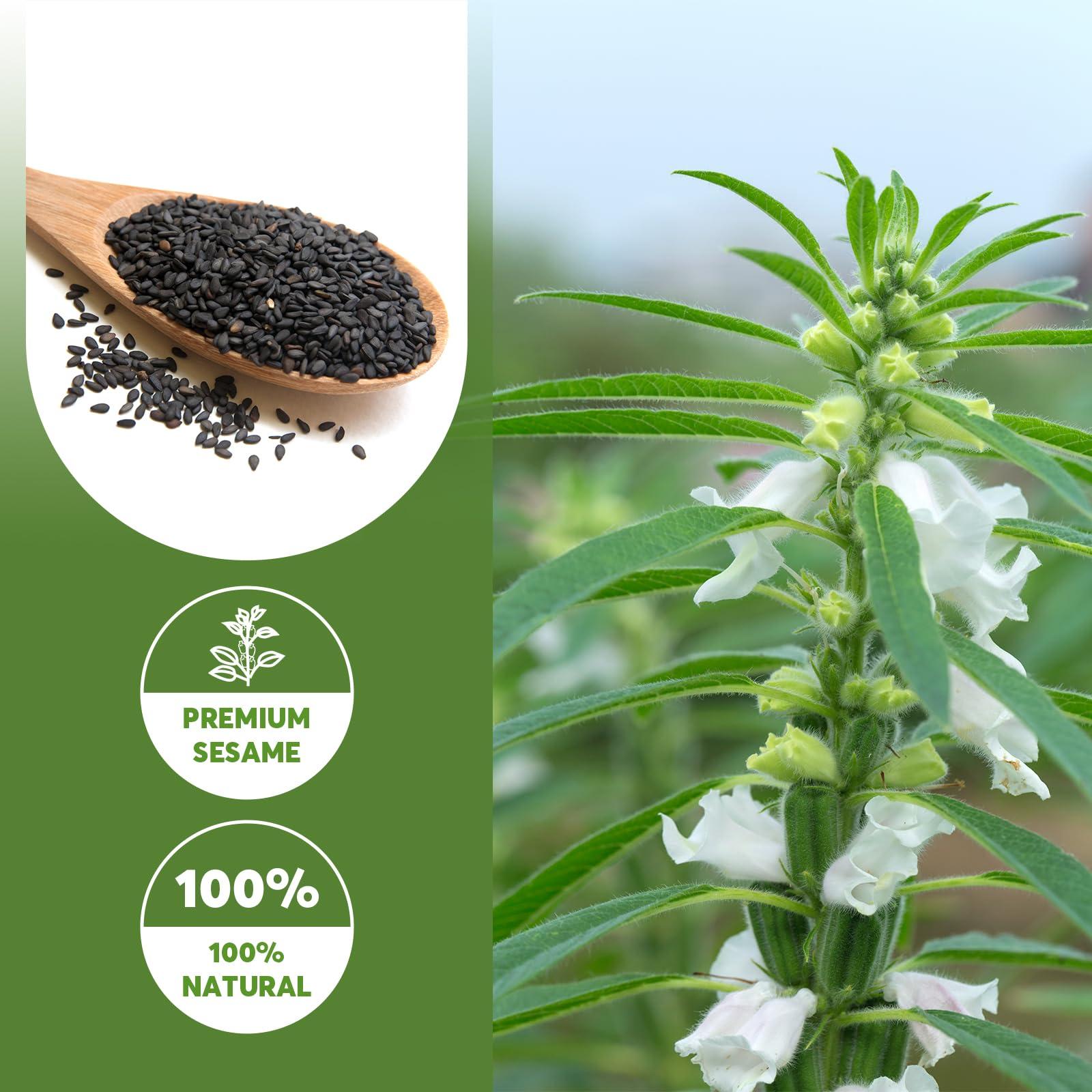 ONETANG ONETANG Organic Black Sesame Powder,Plant Based,Gluten-Free,Vegan,Protein Source No Sugar,Low Temp Roasted,Halal,Non-GMO,Black Sesame Paste 12.36 Oz (350g)