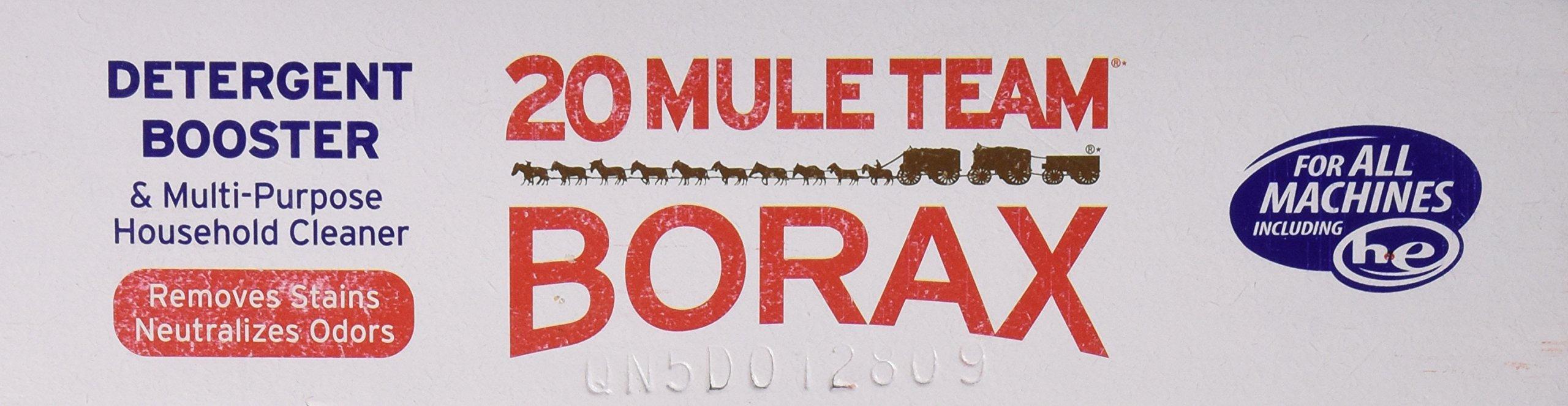 Dial Borax 20 Mule Team Detergent Booster, 65 Oz.