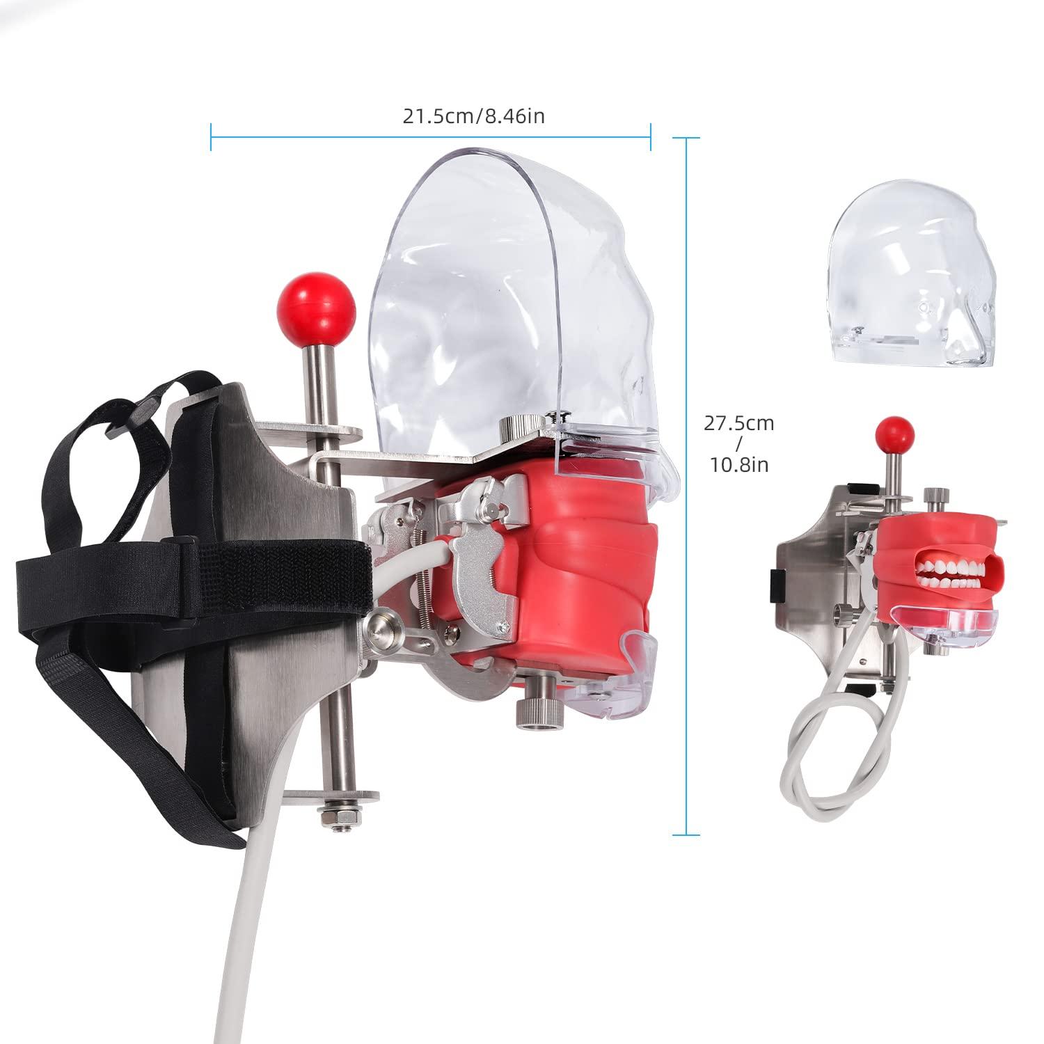 faruijie faruijie Dental Simulator Mannequin Head - with Typodont Teeth Model Dexter Phantom Head Training Manikin with Bench Mount Fixed on Chair for Dental Schools Education Practical Demonstration