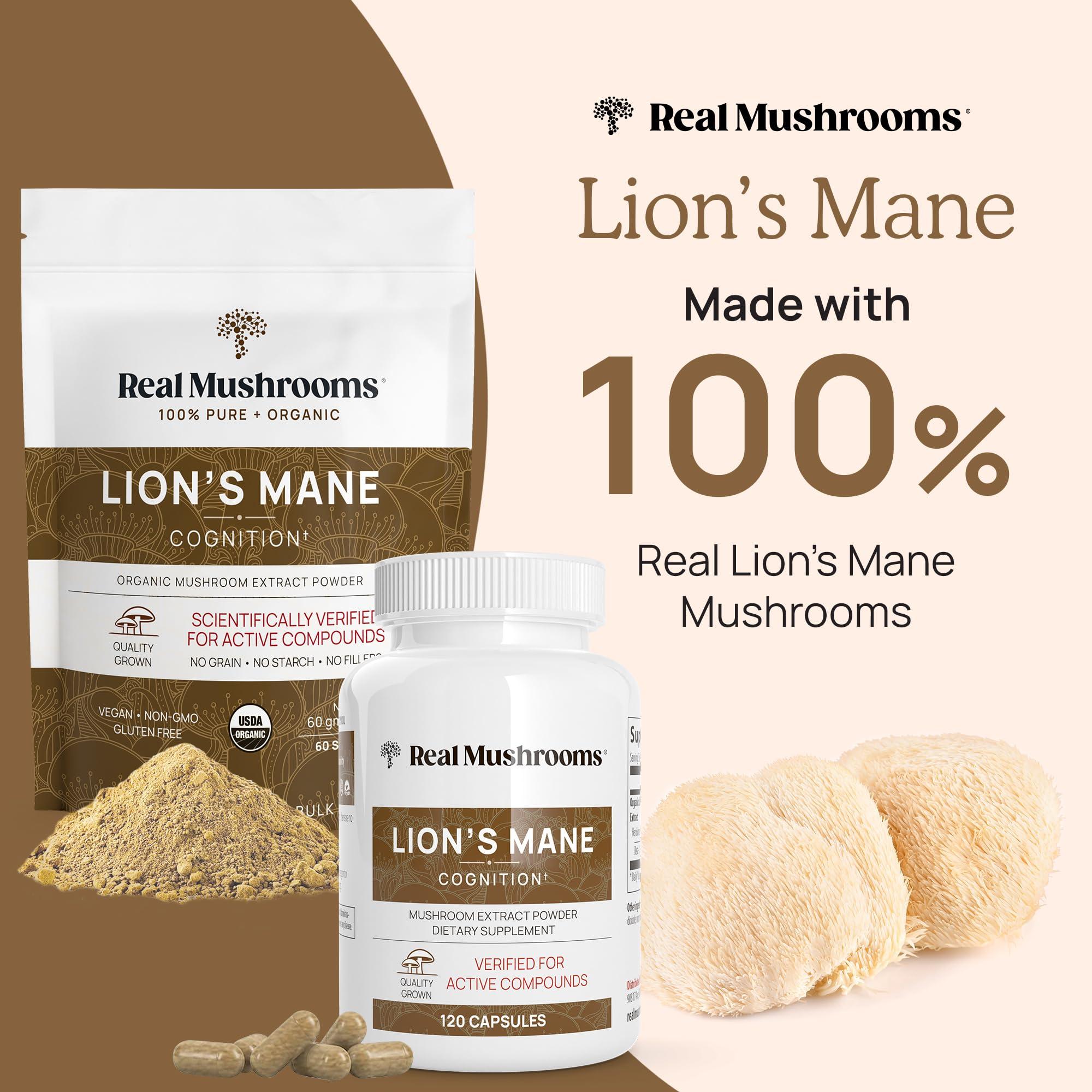 Real Mushrooms Real Mushrooms Hot Chocolate Mix (15 Servings) and Lions Mane (60 Servings) Powder Bundle - Mushroom Powder Supplement for Daily Immunity & Cognition Support - Gluten-Free, Non-GMO, Vegan