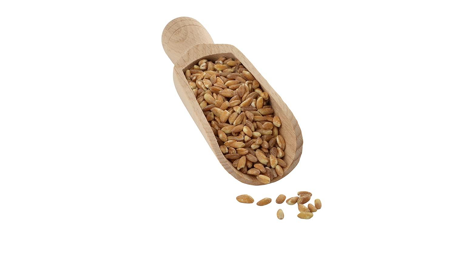 BALTORO FOODS Organic Italian Pearled Farro - Imported, Raw, Non-GMO, Vegan, Bulk, Protein, Fiber Rich (1LB)