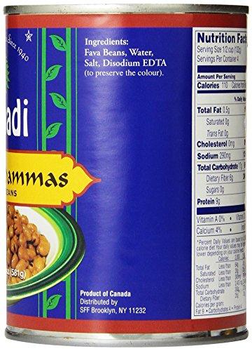 Sahadi SAHADI Foul Mudammas, 20-Ounce (Pack of 12)