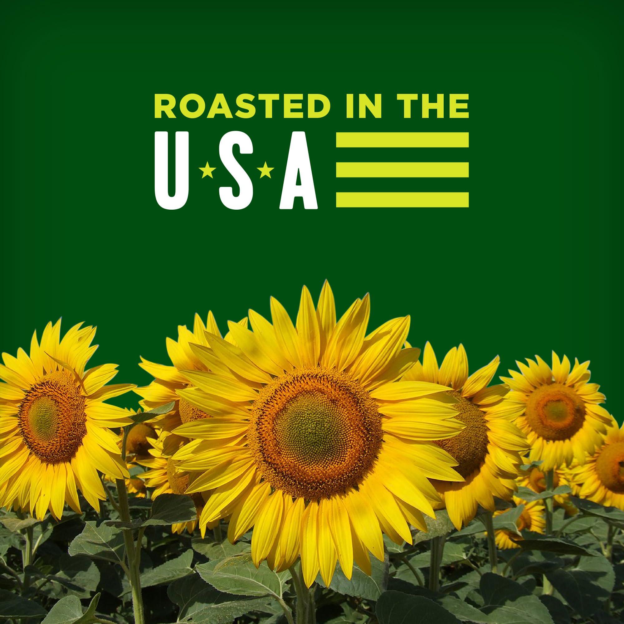 BIGS Bigs Vlasic Dill Pickle Sunflower Seeds, 16-Ounce (Pack of 2)