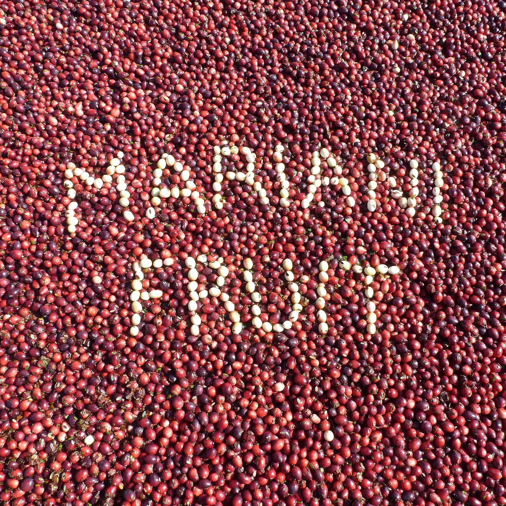 Mariani Premium Mariani Dried Cranberries - Gluten Free, Vegan, No Preservatives - Healthy Snacks for Kids & Adults, 5oz Bag (Pack of 4)