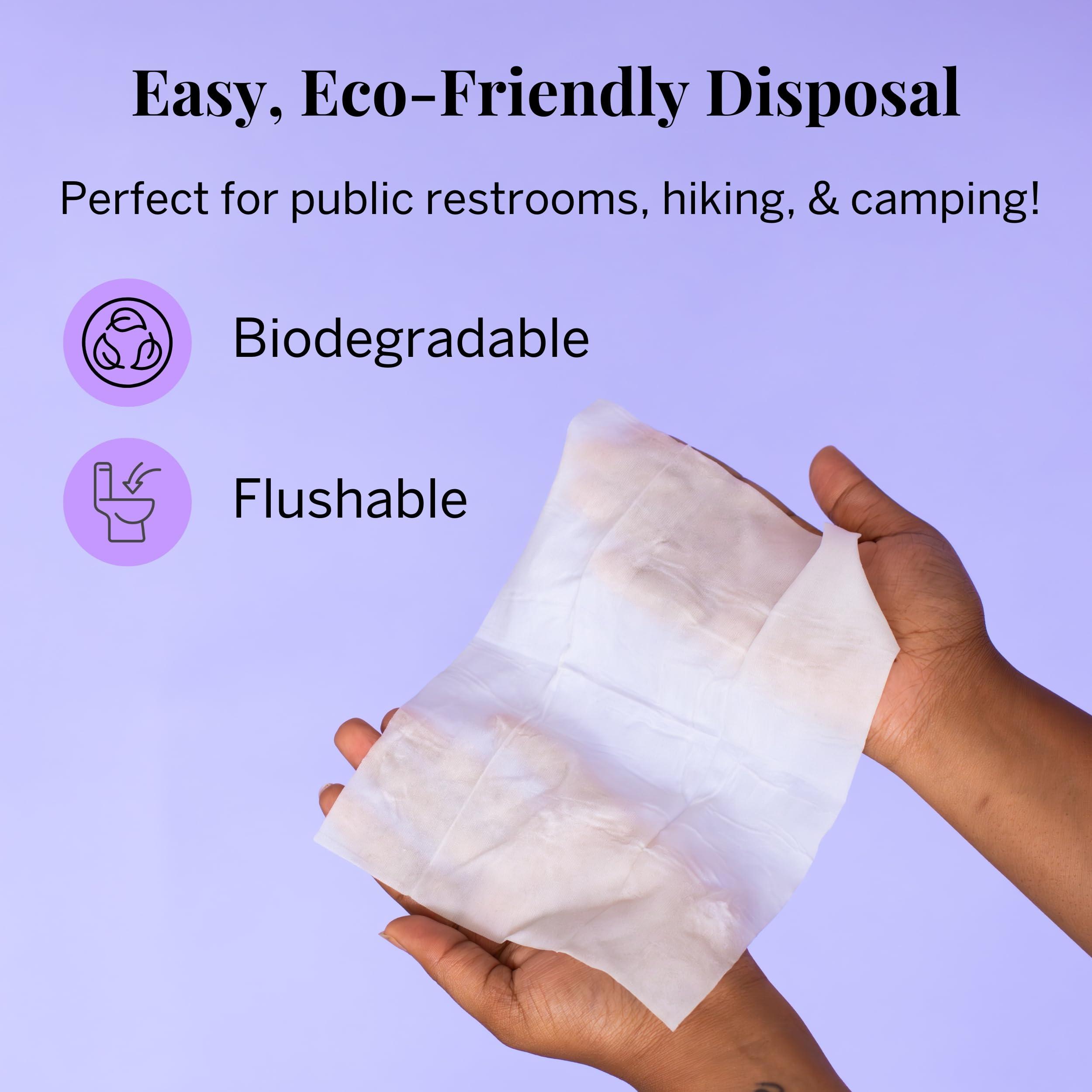 Pixie Cup Menstrual Cup Wipes - On The Go Public Bathroom Feminine Wipes - Safe On Period Cups & Menstrual discs - Biodegradable, Flushable, Ph Balanced (20 Count)