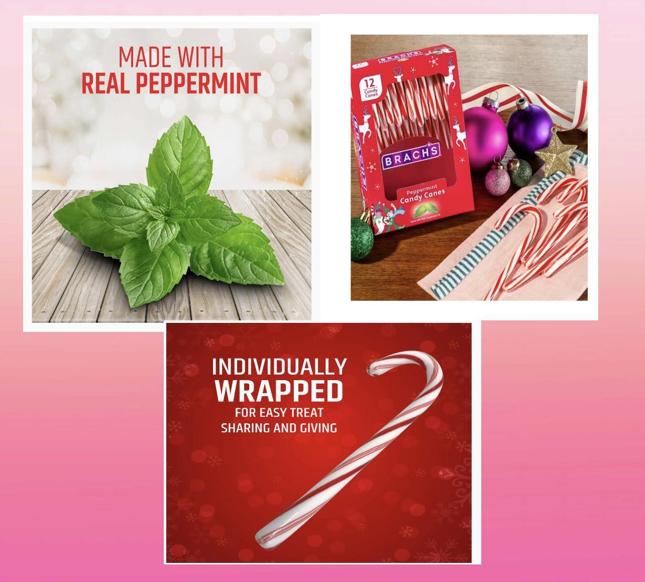 KANDYRIFIK CANDY CANES (432 COUNT) - 36 PACK, Peppermint Candy Canes, Individually Wrapped Bulk Candy Canes, Christmas Candy, Stocking Stuffers for Kids, Holiday Classic, Creative Booklet Idea and SameDay Shippers Souvenir Included
