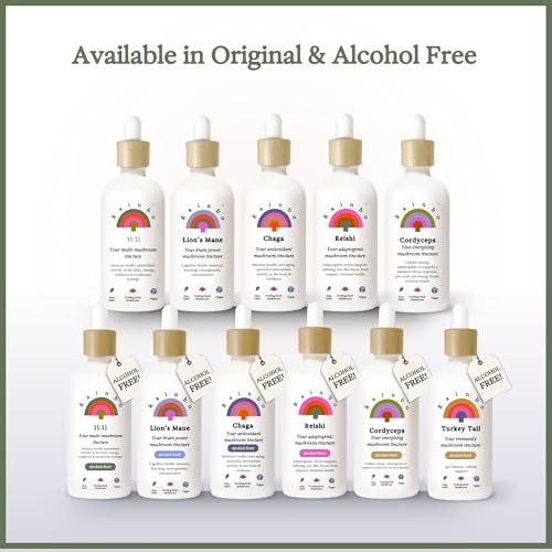 Rainbo Rainbo 11:11 Multi Mushroom Tincture, Dual Extract Mushroom Supplement for Comprehensive Immune Support, Brain Support, Liquid Lion's Mane & Turkey Tail, Vegan, Non GMO, 3.4 fl oz