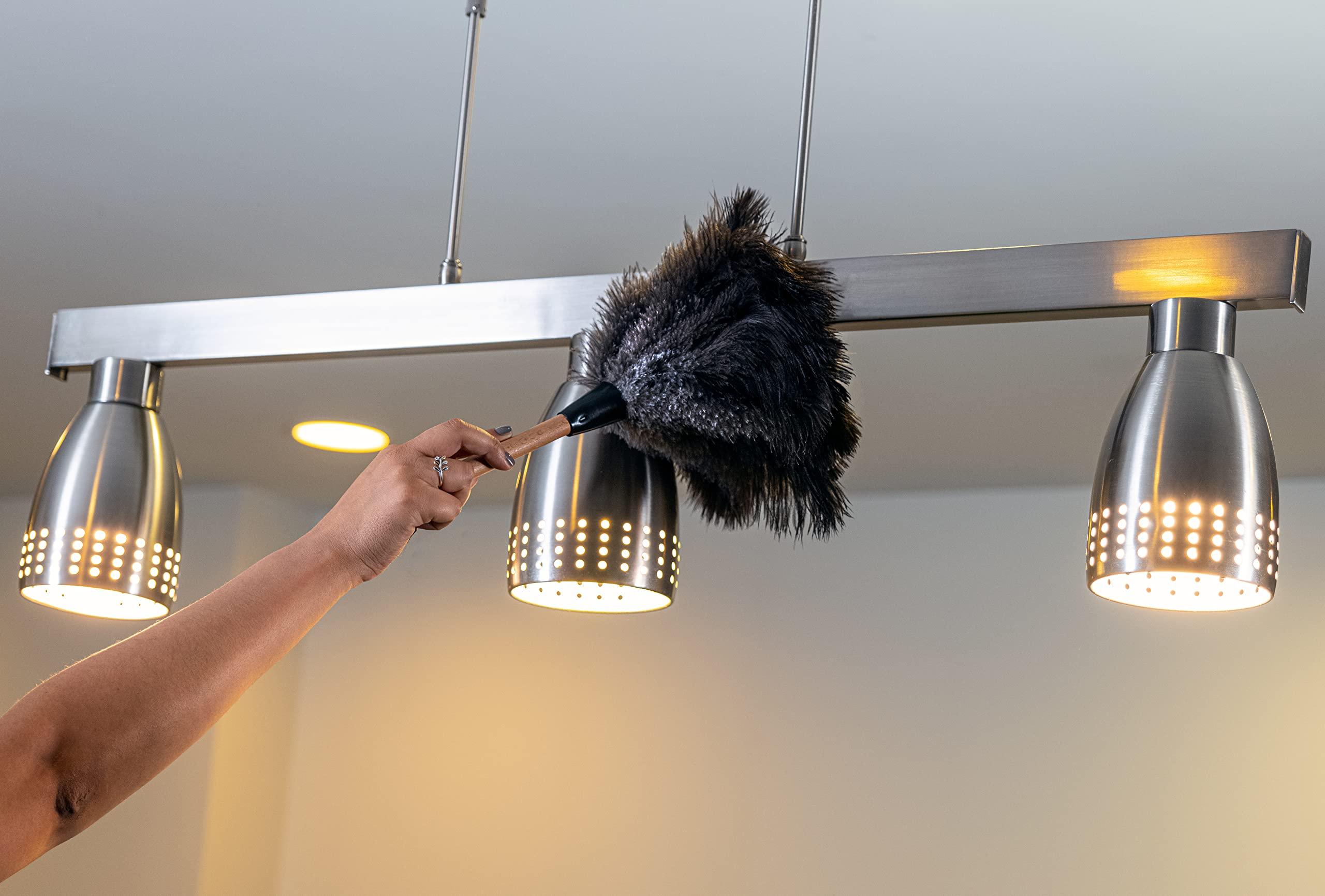 Royal Duster Royal Duster, Premium Genuine Ostrich Feather Duster, 14\"