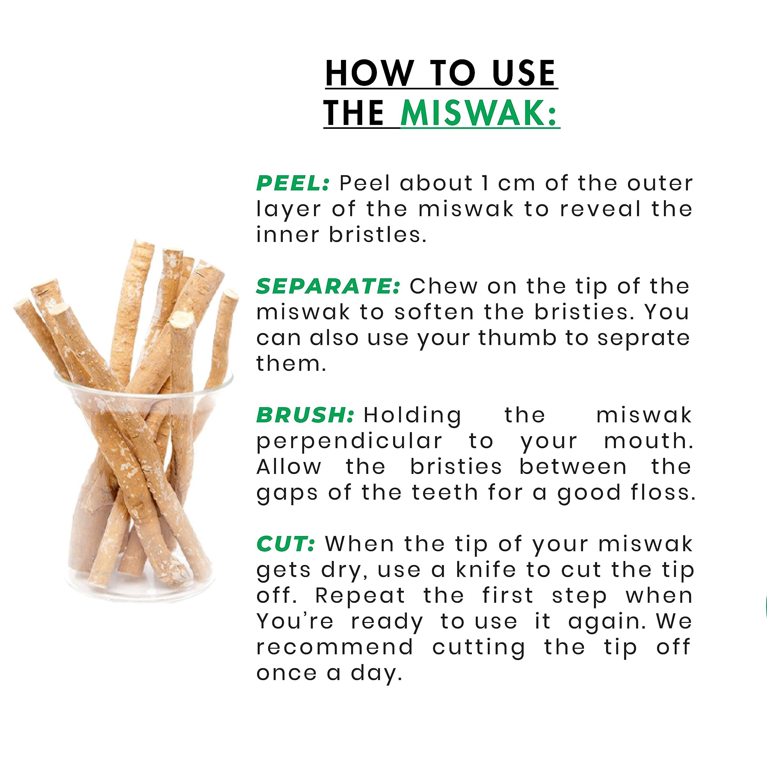 AL-TAQWA AL-TAQWA Miswak Stick |Miswak Toothbrush, Pack of 12, Natural Toothbrush, Chewable (Meswak)|Siwak Oral Hygiene, Teeth Whitening, Control Bad Breath | Eco-Friendly, Biodegradable, Nitric Oxide
