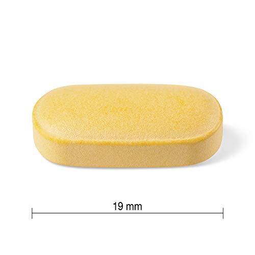 Jamieson Jamieson B Complex 100mg Time Released Bonus 120 Count …