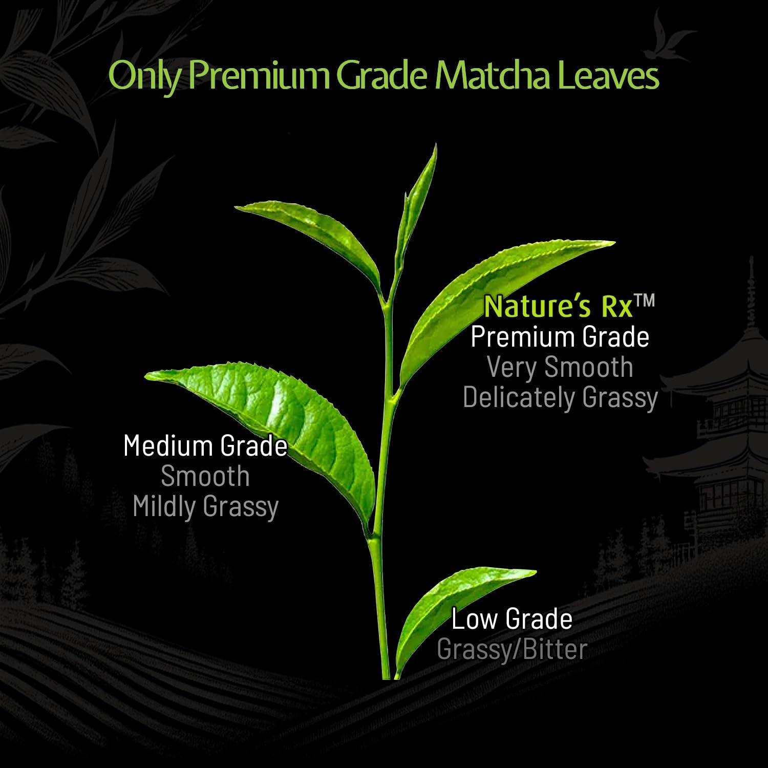 Natures Rx Organic Matcha Green Tea Natures Rx Organic Matcha Tea Powder Premium Grade 100g Pack | 50 Servings