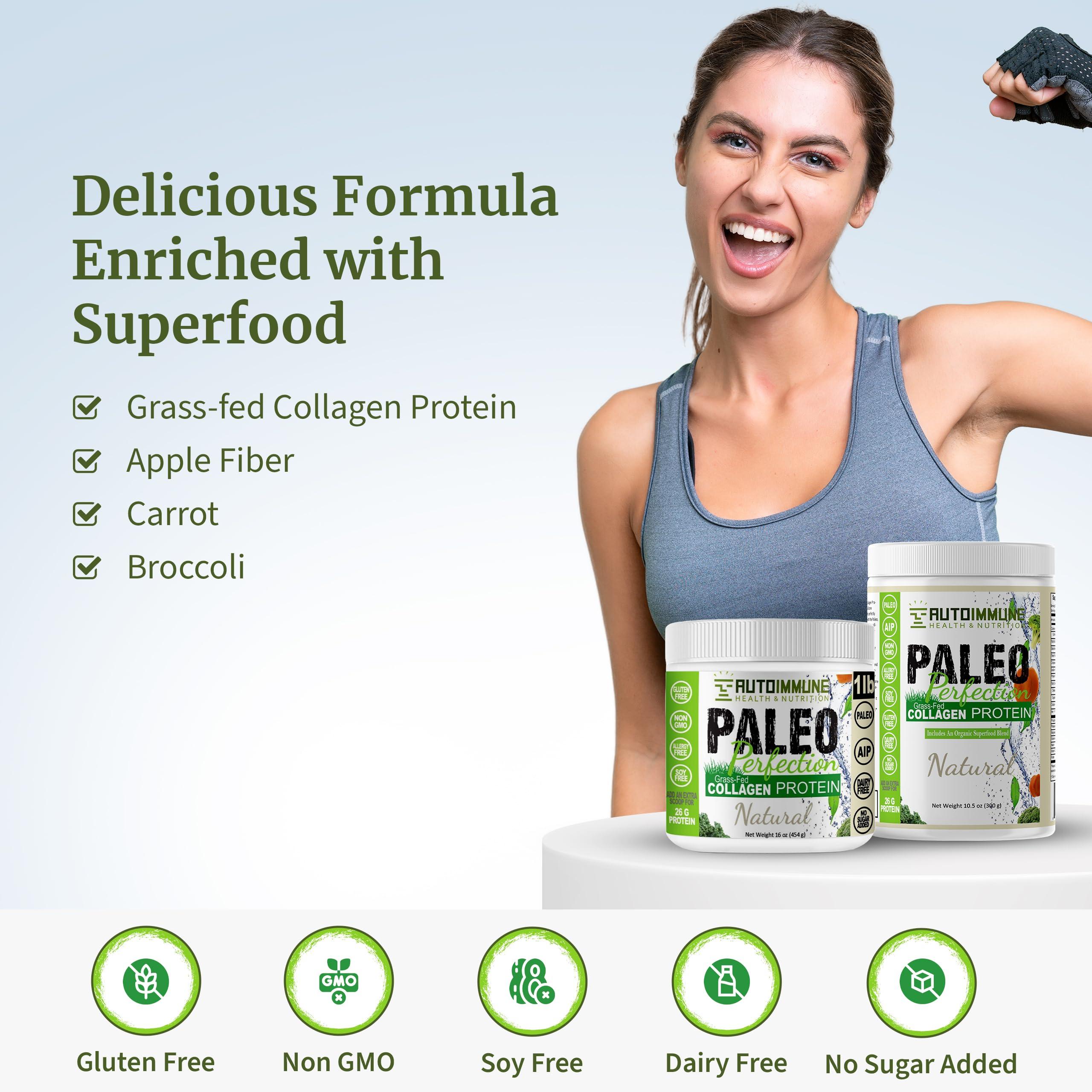 AUTOIMMUNE HEALTH & NUTRITION Paleo Perfection Natural Grass Fed Beef Collagen Protein Powder for Men & Women w/ Apple Fiber, Carrot, Broccoli - 300g Paleo, Keto, SCD, AIP Protein Powder & Superfood Blend - Unflavored, Unsweetened
