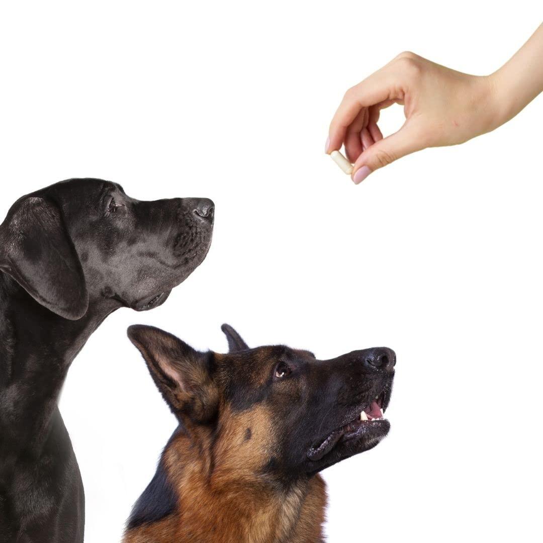 LFA Tablet Presses Empty 00 Capsules - Vegan Pullulan - 1000 Count Vegetarian Capsules Empty - Joined Fillable 00 Vegetable Pill Capsules - Veggie Caps for Capsule Filling Machine - Halal Kosher Tapioca