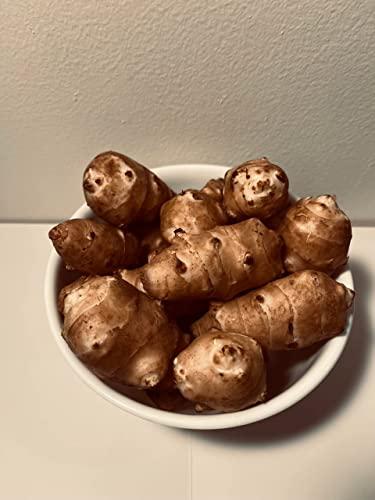 Adama Foods Sunchokes - 5 pounds (5 lbs) for Planting or Eating FEDEX 2Day