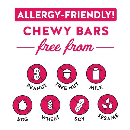 Blake's Seed Based Blake’s Seed Based Chewy Granola Bars — Birthday Cake (5 Count), Vegan, Gluten Free, Nut Free & Dairy Free, Healthy Snacks for Kids or Adults, School Safe, Low Calorie Soy Free Snack