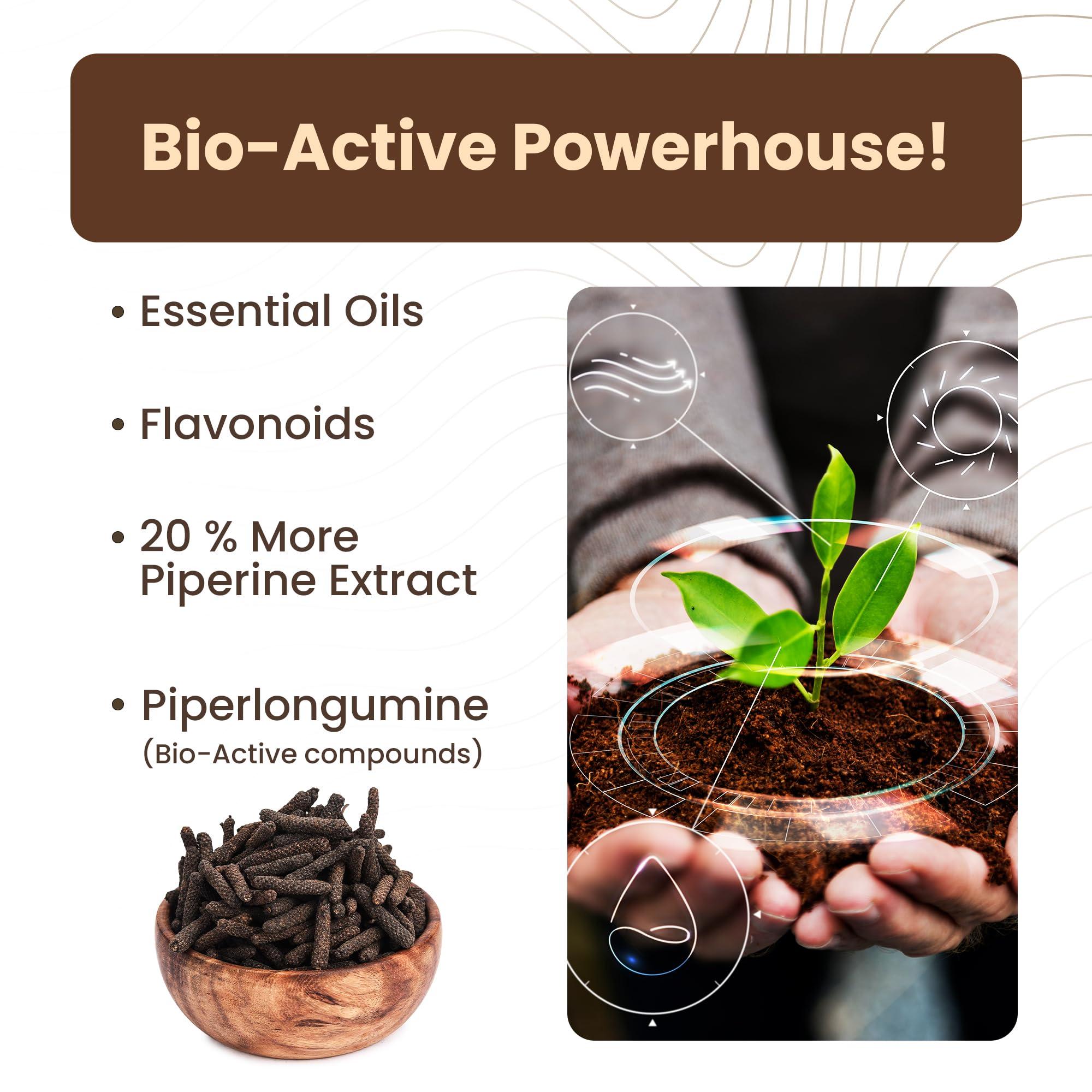 Ramaroma Ramaroma ( (Pipili),Lindy Pepper Whole (Long Pepper, Piper Longum, Pipli) 4oz (113g) ~ All Natural | Gluten Friendly | NON-GMO | Vegan | Indian Origin