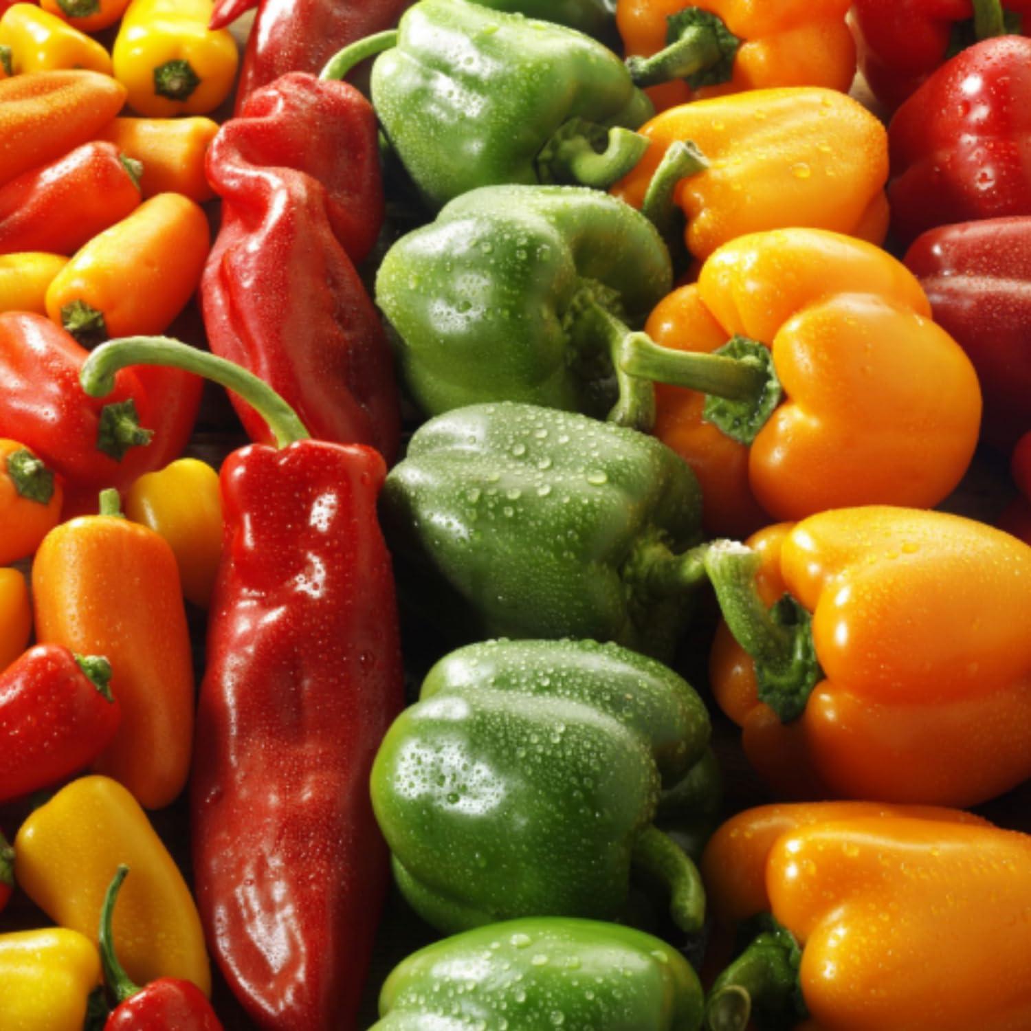 Microsaucerie Piko Peppers Piko Riko by Microsaucerie Piko Peppers, Mild Heat Hot Sauce With Flavors of Habanero Peppers, Bell Peppers & Beer, Made With All Natural Ingredients, 5 fl oz Bottle (1-Pack)