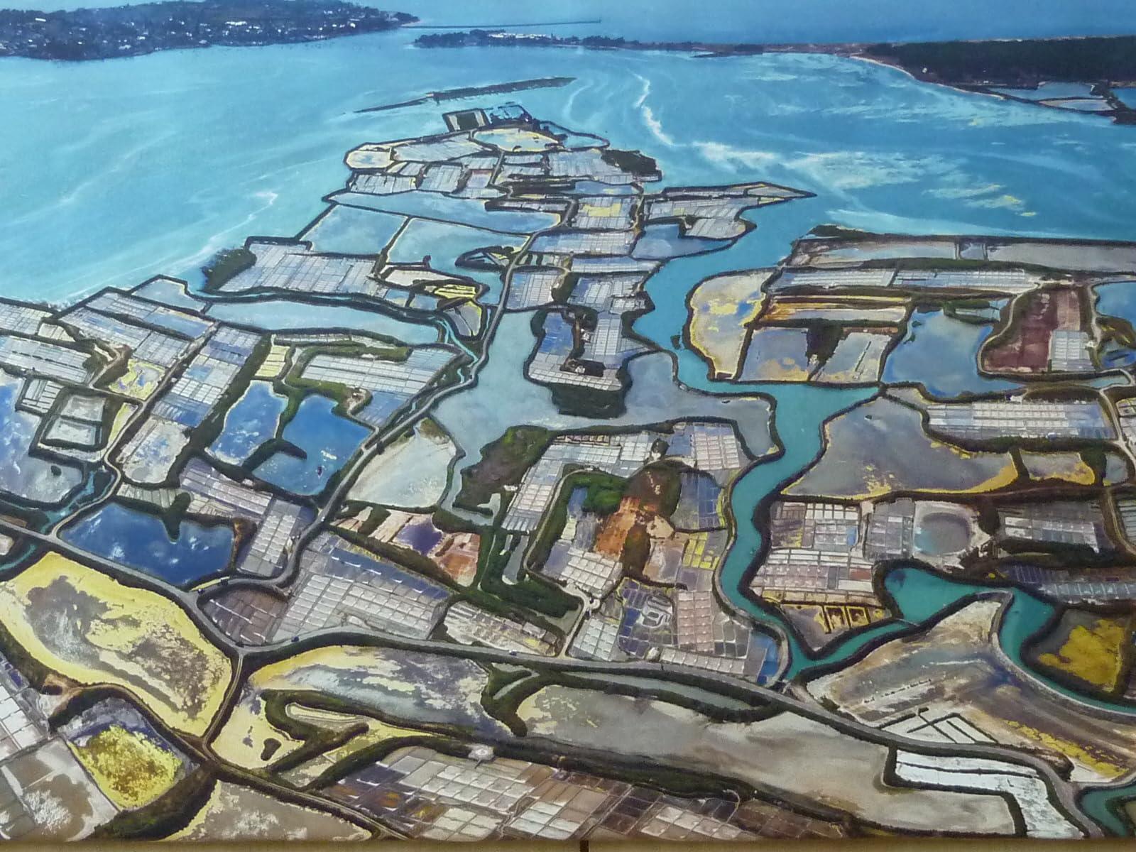 82 MInerals Sea Salt Celtic Salt 82 Minerals Sea Salt French Celtic Insprired Artisanal Glass Jar with Shaker Lid Hand Harvested Sea Salt XL Coarse Grain NC Small Business Organic Vegan Kosher Paleo Low Sodium from the Celtic Sea