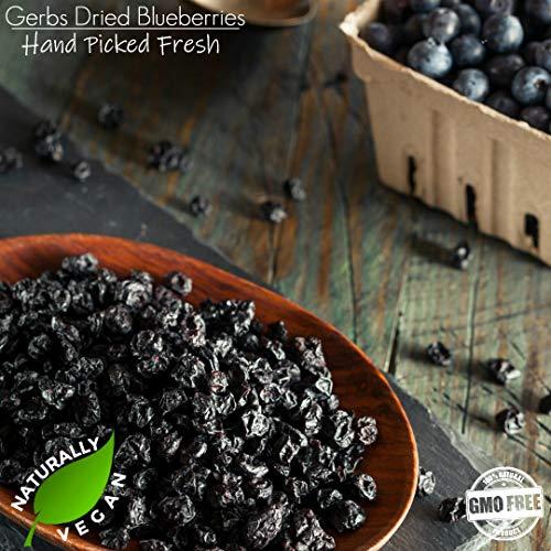 GERBS Gerbs Dried Cape Cod Blueberries 10 LBS Bulk Case