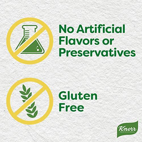 Knorr Knorr Professional Ultimate Beef Paste Base Gluten Free, No Artificial Flavors or Preservatives, No MSG added, Colors from Natural Sources, 1 Pound (Pack of 6)