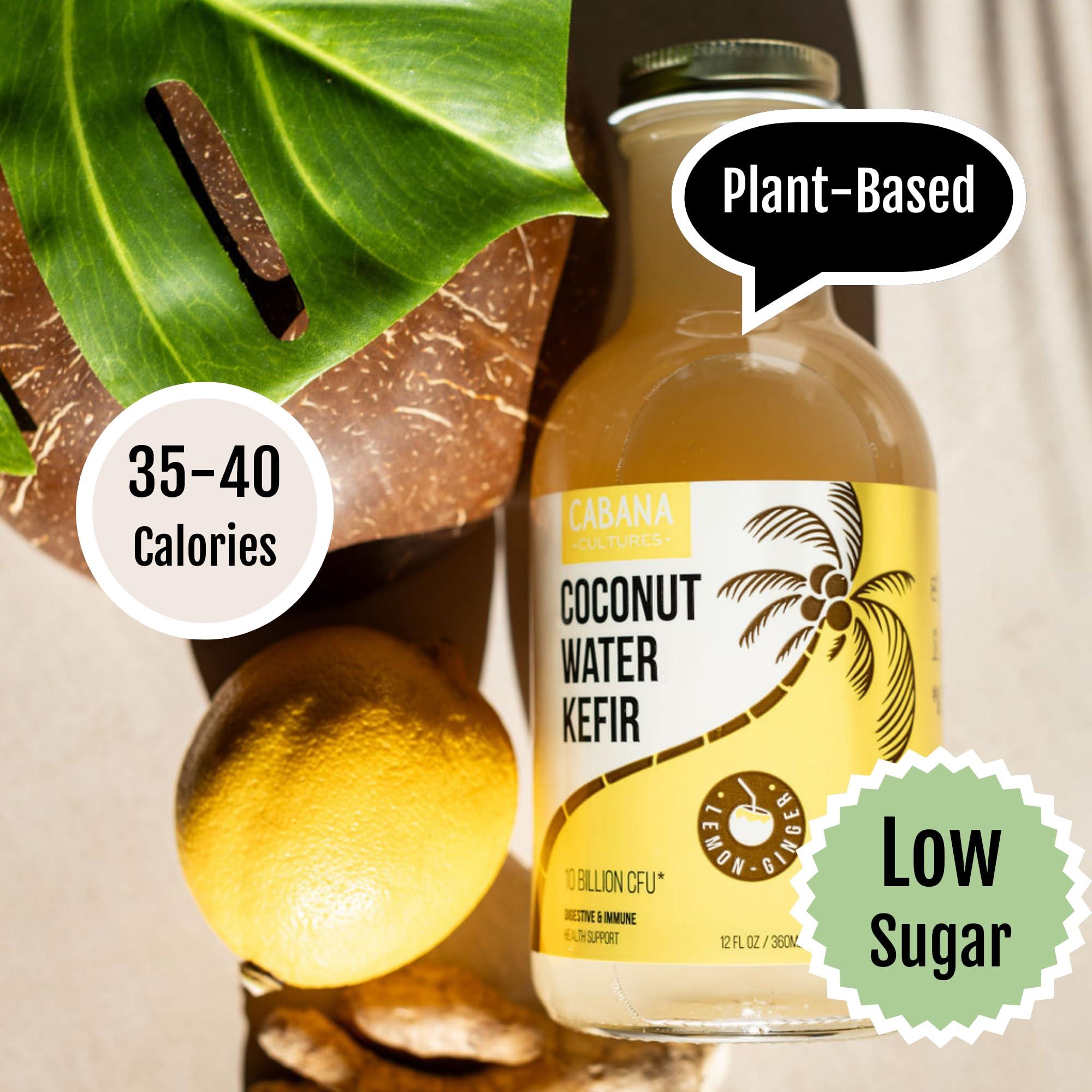 Cabana Cultures Cabana Cultures - Probiotic Coconut Water Kefir, Gut Health & Immunity Support, Hydration & Electrolytes, Vegan, Low Sugar (Lemon-Ginger, 12-Pack)