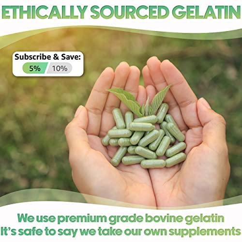 XPRS Nutra XPRS Nutra Size 4 Empty Capsules for Cats - Clear Empty Gelatin Capsules - Empty Pill Capsules for DIY Capsule Filling - Fillable Pure Bovine Pill Capsules Empty Gel Caps (500 Count)