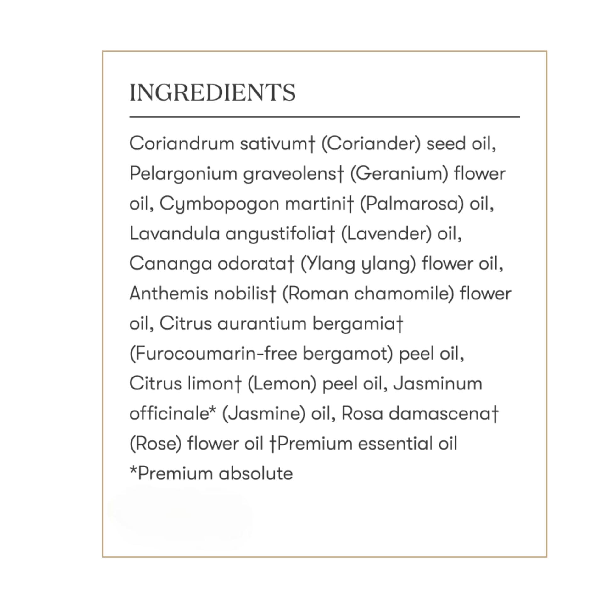 Young Living Young Living - Gentle Baby 15ml | Gentle Aroma for Babies | Soothing Skin | Relaxing & Moisturizing Aromatherapy Massage | Infant & Parenting Relaxation | Calming Scent