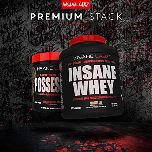 Insane Labz Insane Labz Insane Whey,100% Muscle Building Whey Protein, Post Workout, BCAA Amino Profile, Mass Gainer, Meal Replacement, 5lbs, 60 Srvgs (Packaging May Vary) (Chocolate Peanut Butter)