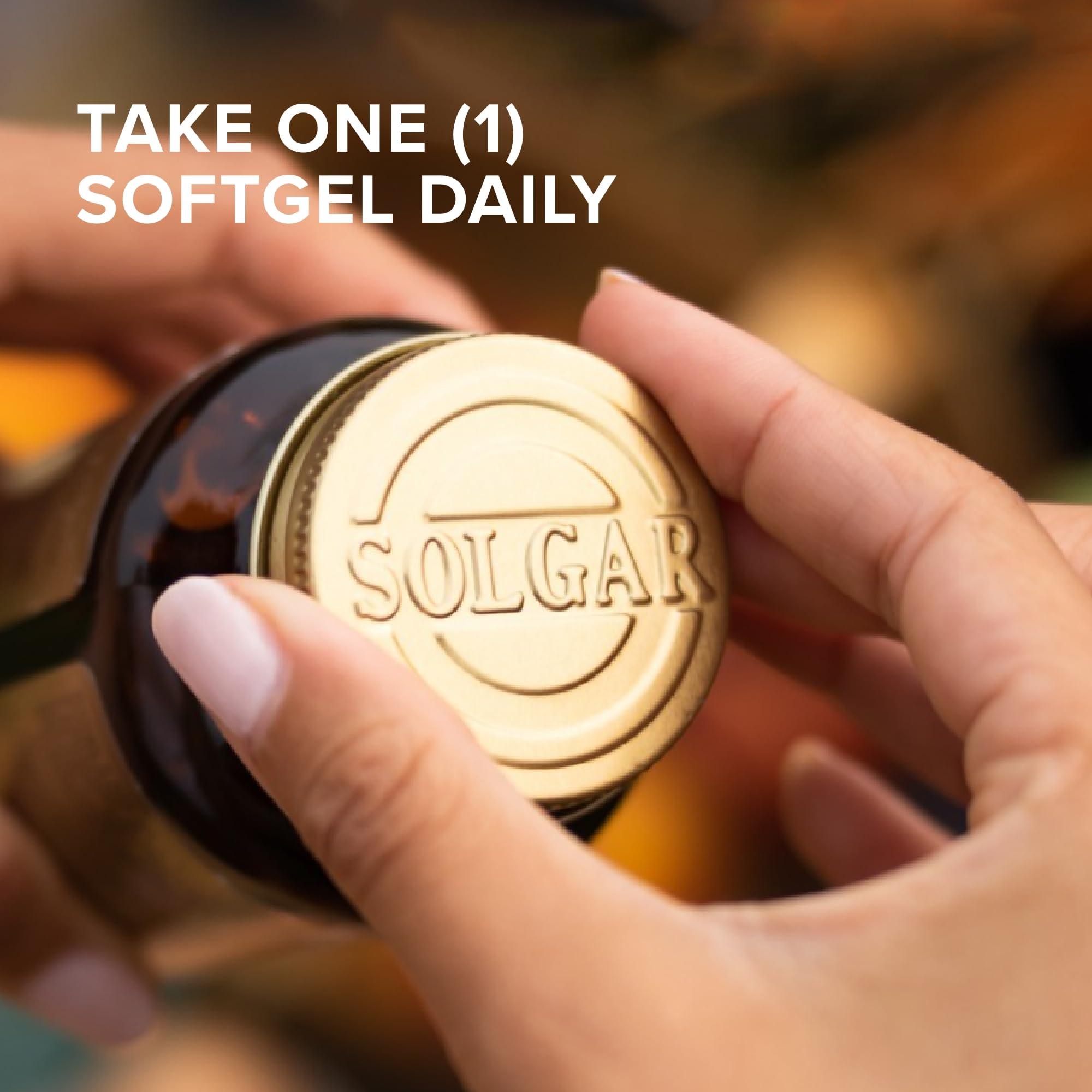 SHIRAKIKU BRAND Shirakiku Udon Cup Nama Sanukiya, 7.76-Ounce Units (Pack of 12)