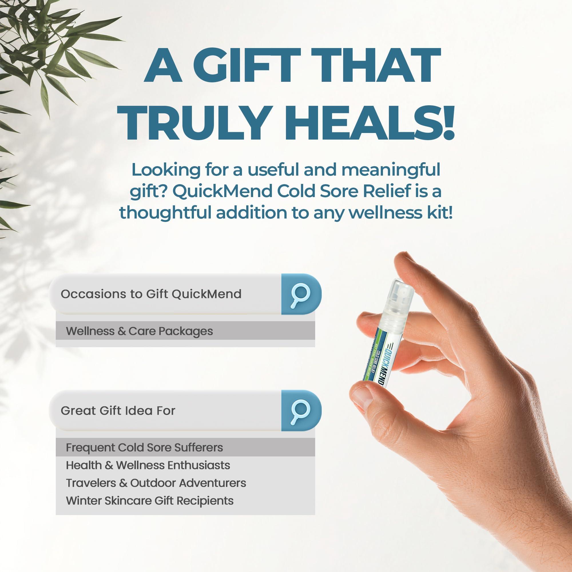 Quick Mend Quickmend Cold Sore Relief Lip Treatment with Pump Dispenser, 4.5 ml / .15 oz.