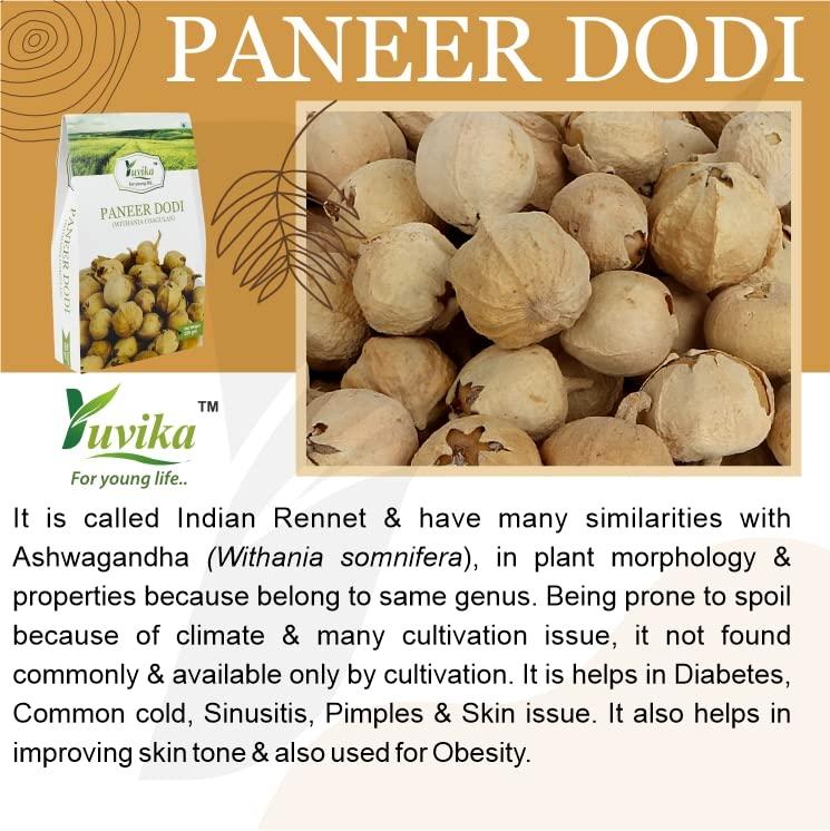 Yuvika YUVIKA Paneer DODI Powder | Paneer Doda Powder - Withania Coagulans (400 Grams)