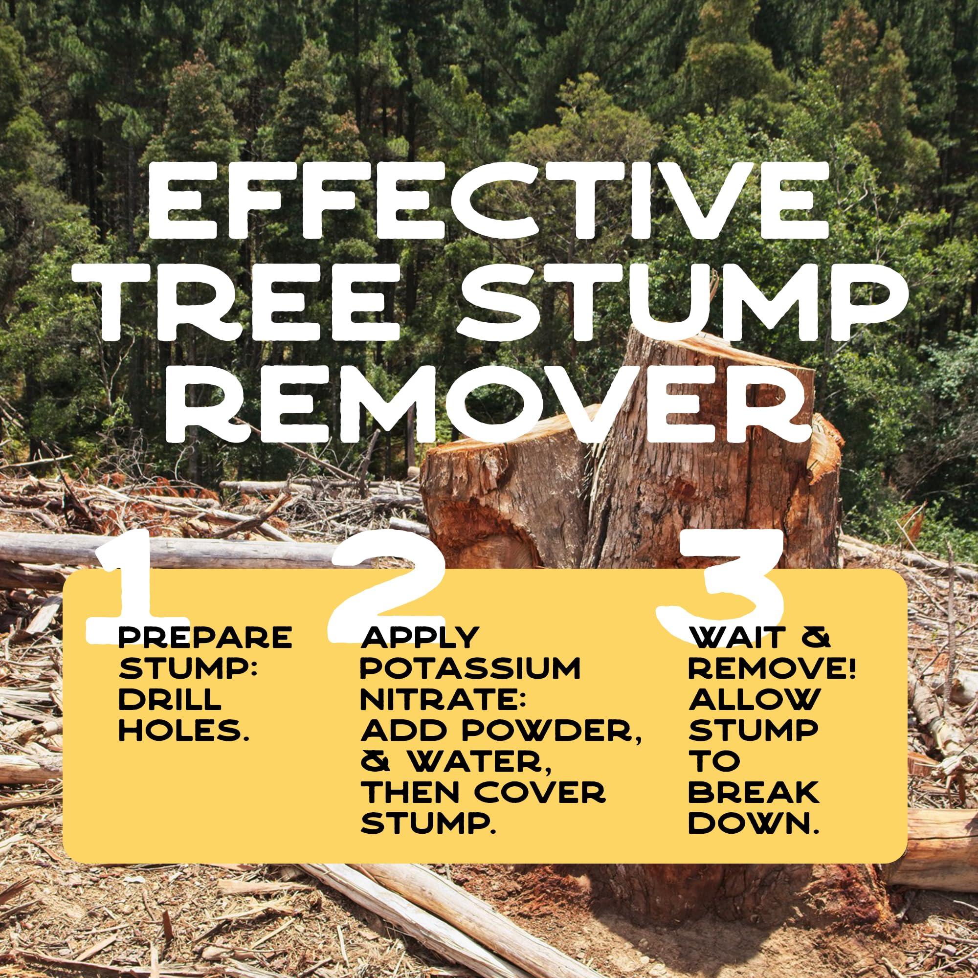 Ecoxall Ecoxall Prilled Potassium Nitrate Powder - 5 Pound - 99% Highly Refined - Multipurpose Uses - Use for Lawn Care, Tree Stump Removal and More - Tree Stump Remover - Industrial Grade Strength