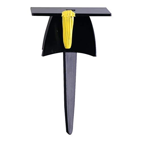 CakeDrake CakeDrake GRADUATION Grad CAP Hat 12 Party Cupcake Cake Topper Decor Pop Pics Picks