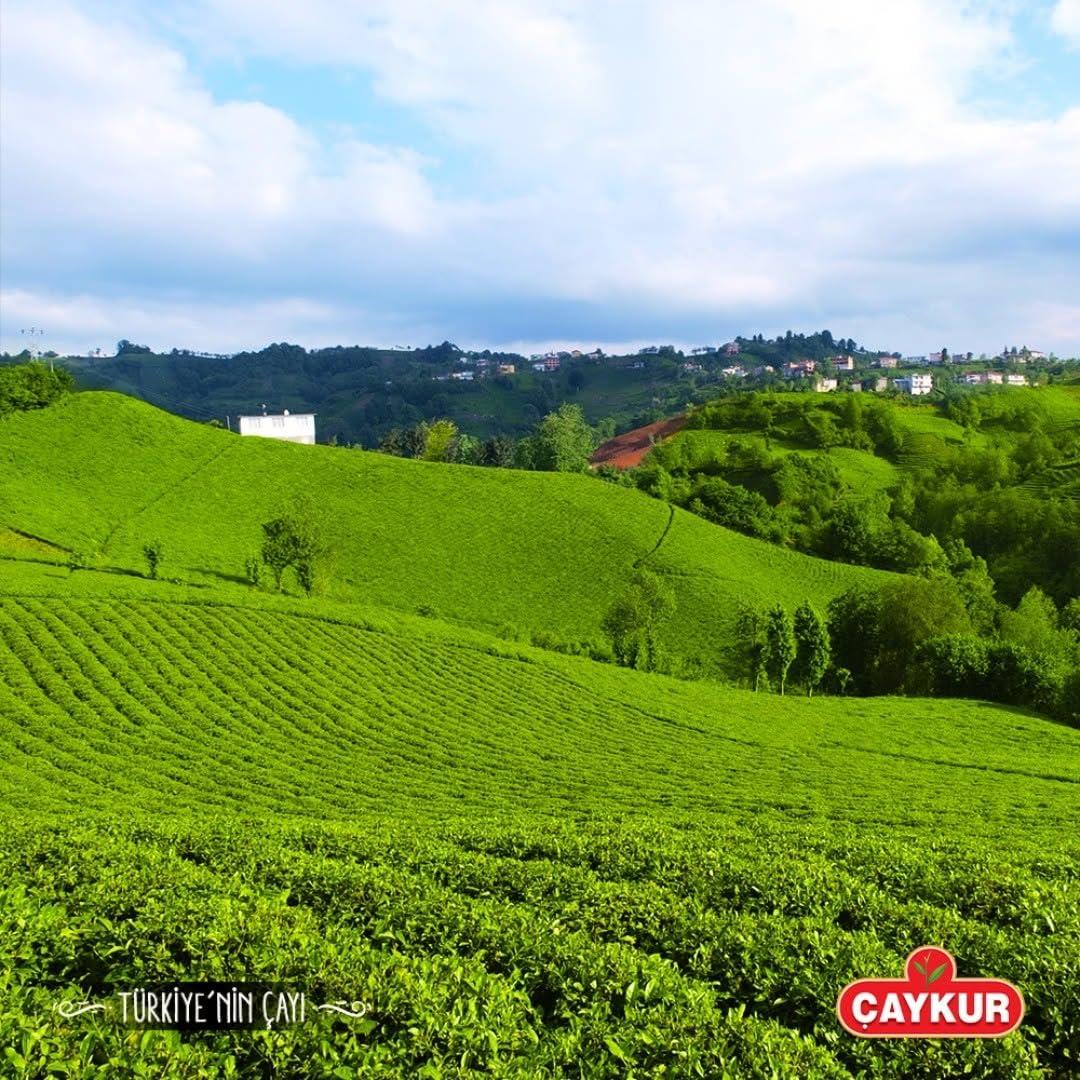 Caykur Turkish Tea 2.2 Lbs - Caykur Rize