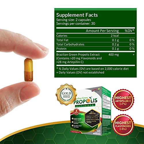 LABO Nutrition LABO Nutrition Brazilian Green Propolis Ultimate - Contains >7% or 28mg/Serving Artepillin C & >5% Flavonoids, for Immune & Brain Support, Natural, High Concentrate & Premium, 60 Veg Capsulesx3