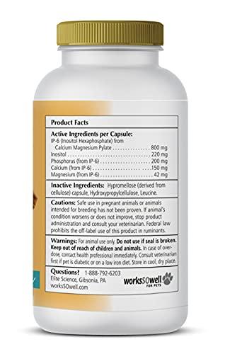 1-TDC WorksSoWell IP-6 Immune Support for Dogs – 240 V-Caps – Helps Promote Healthy Bones, Teeth, Kidney, Liver Functions and Cardiovascular Health – Total Body Health and Immunity