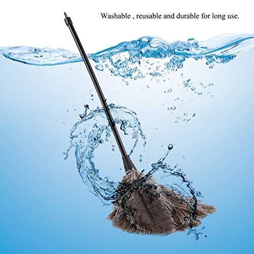 QiaNgshuAikj 34cm Premium Quality Genuine Ostrich Feather Duster – Attracts Dust Particles - Thick Soft Feathers - Durable Ergonomic Wooden Handle – Easy Efficient Dusting