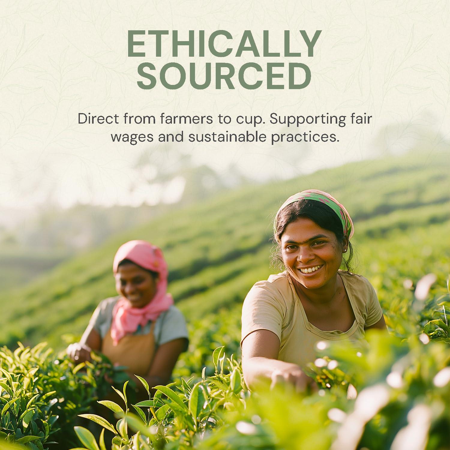 Basilur Basilur | Gift Tea Set | Floral Fantasy Volume 01 | Collectable Metal Tin Caddy | Pure Ceylon Green Leaf Tea with Hibiscus Flower, Peppermint and Rose flower| 100g /3.52 oz