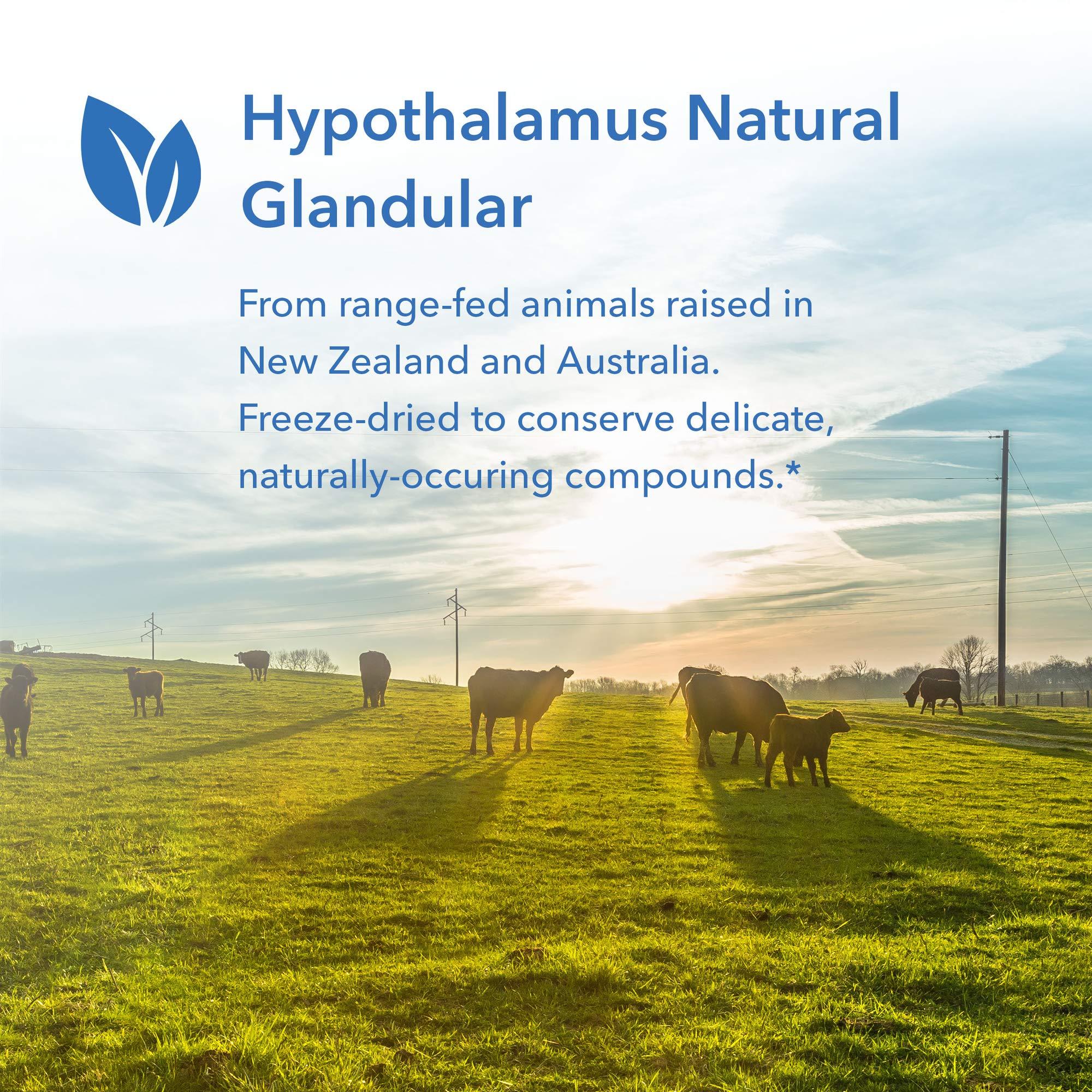 Allergy Research Group Allergy Research Group Hypothalamus Supplement - Endocrine Support, Natural Glandular, 500mg Adrenal Support, Adrenal Pituitary, Adrenal Gland Function, Bovine, Lyophilized, Vegicaps - 100 Count