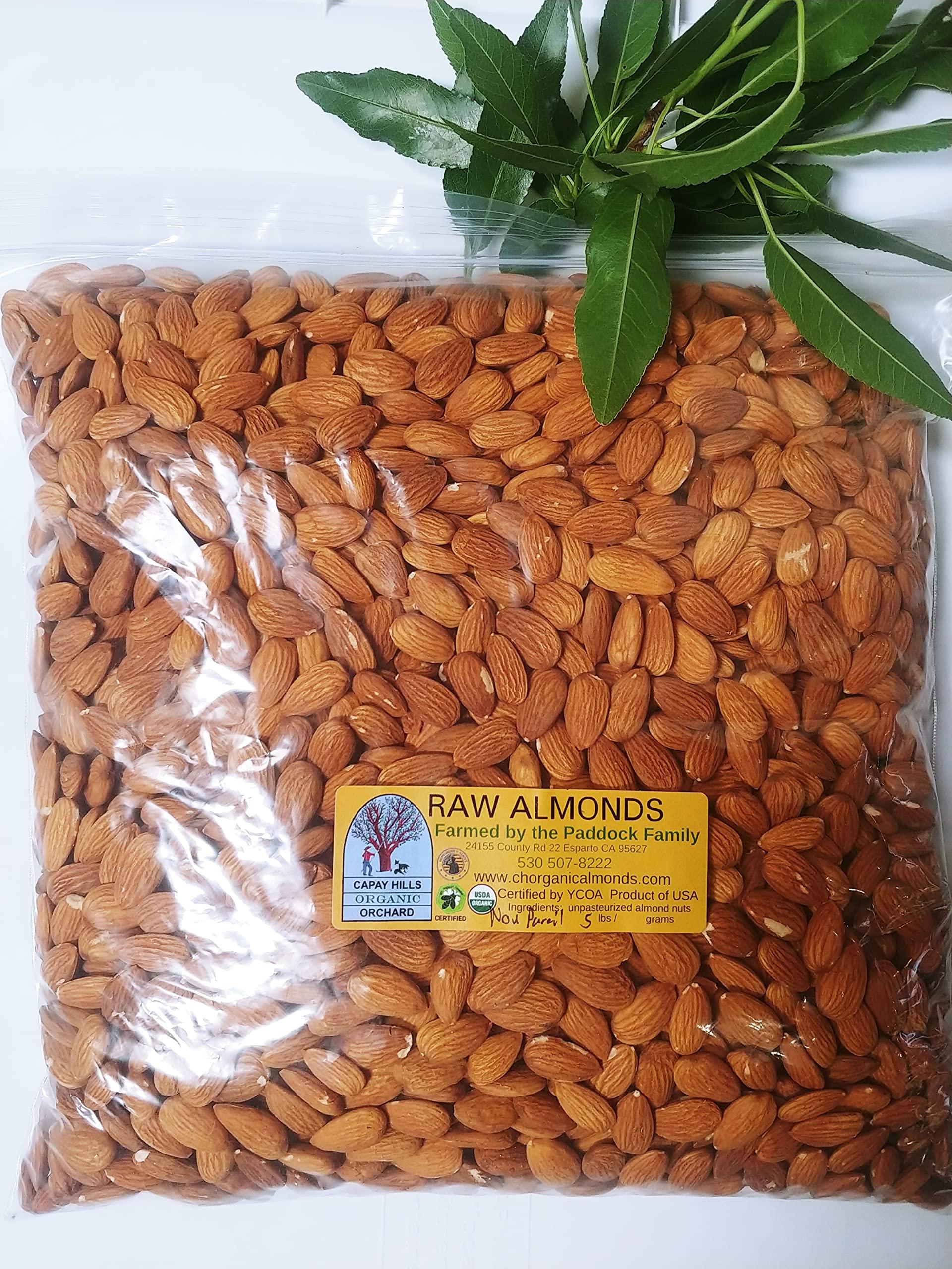 Capay Hills Orchard 5 Lbs Organic Unpasteurized Almonds | Truly Raw | California Family Farmer Direct | Shelled | Certified Organic | Vegan | Non-GMO | Regenerative Agriculture