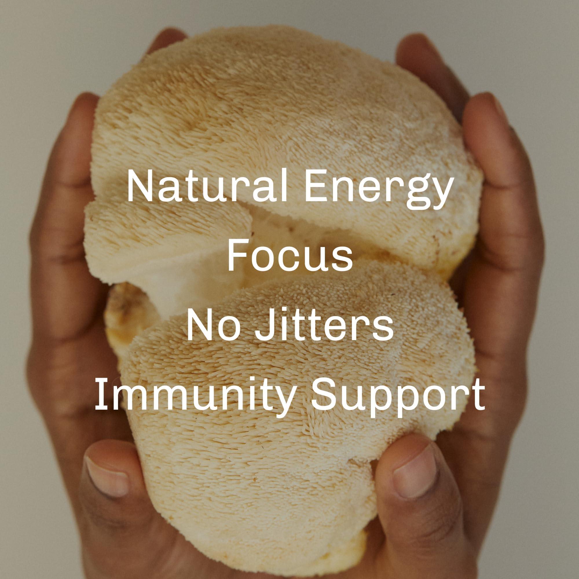 MUD\\WTR MUDWTR Rest (30 servings) - Organic Mushroom Evening Roobios Tea - Relaxation, Wind Down, Sleep Quality - Vegan, Gluten Free, Non-GMO, Whole30