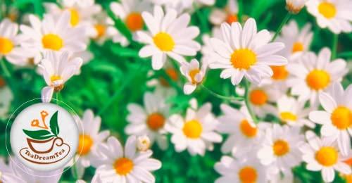 TeaDreamTea TeaDeam Tea Chamomile Tea Bags | Caffeine-Free & Sleep Time Tea | Chamomile Flowers Aroma - For Relieving Stress | Brew Hot Or Iced | 400 Tea Bags