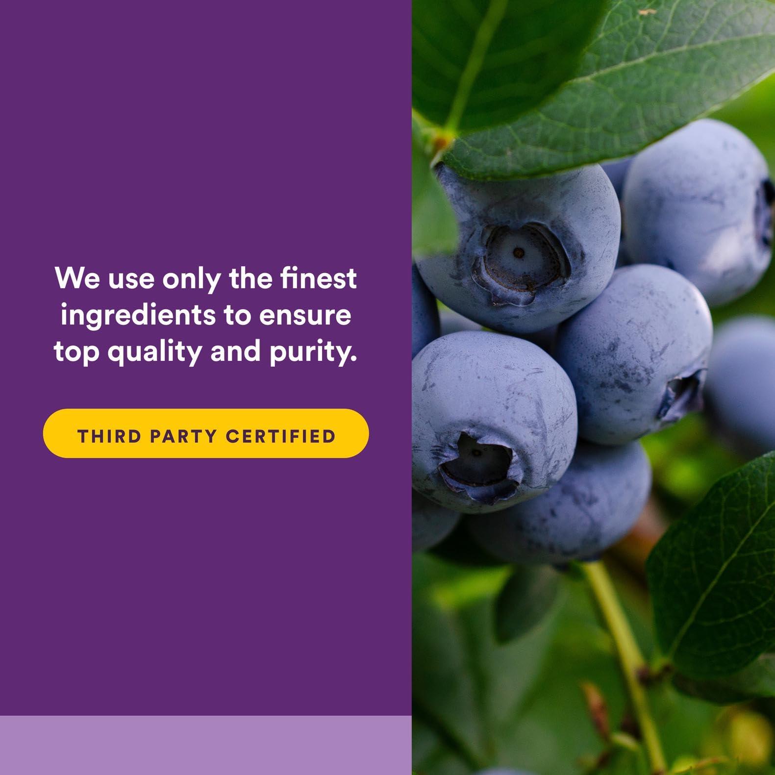 Natural Factors BlueRich by Natural Factors, Super Strength Blueberry Concentrate, Antioxidant Support for Overall Good Health, 90 Softgels