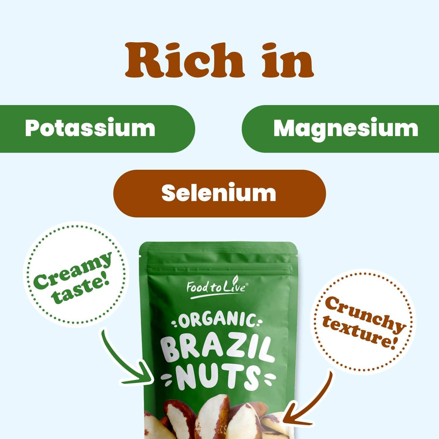 Food to Live Food to Live - Organic Brazil Nuts, 1 Pound Non-GMO, Raw, Whole, No Shell, Unsalted, Kosher, Vegan, Keto, Paleo Friendly, Bulk, Trail Mix Snack, Good Source of Selenium.