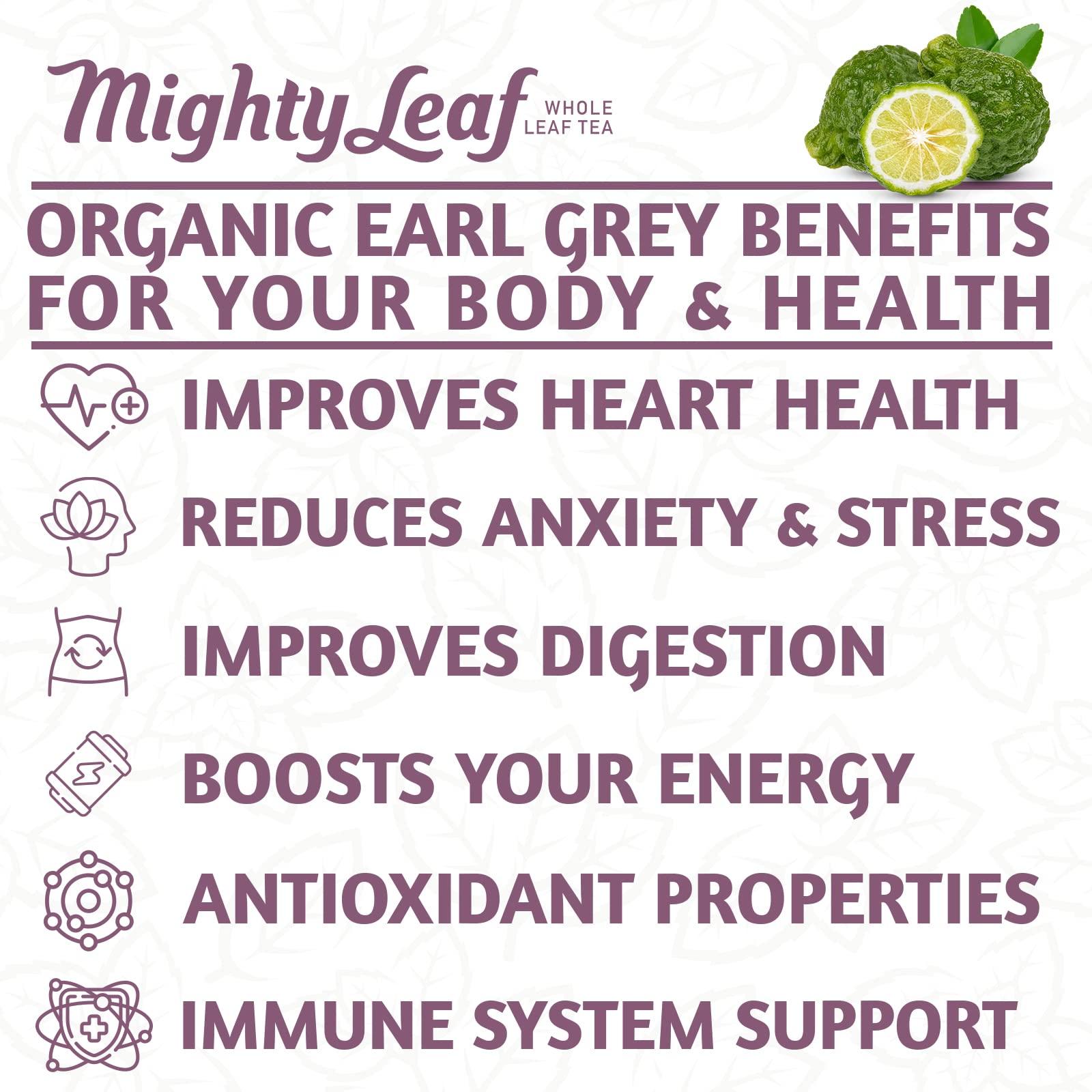 Mighty Leaf Mighty Leaf Organic Earl Grey Tea, 100 Tea Pouches